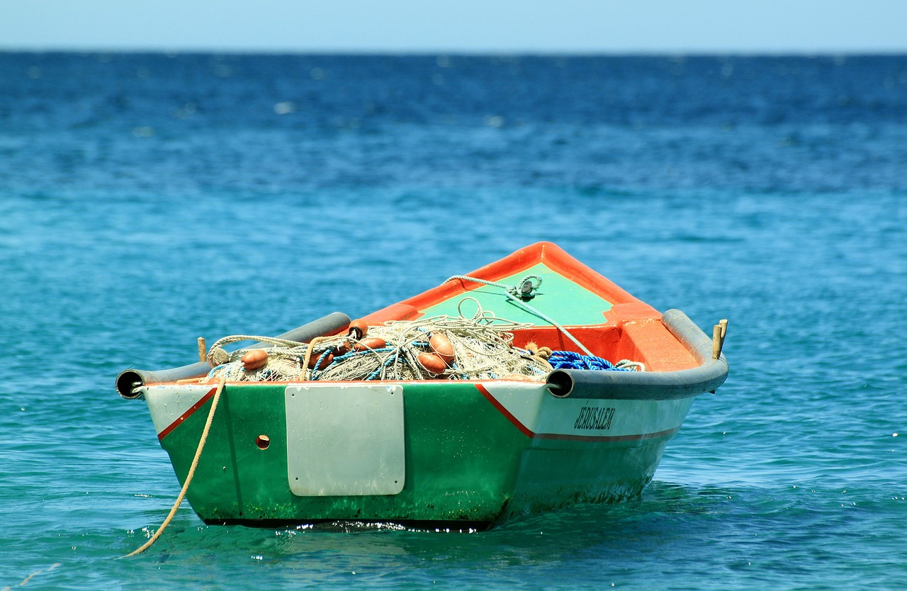 Making Fisheries a Part of Climate Talks