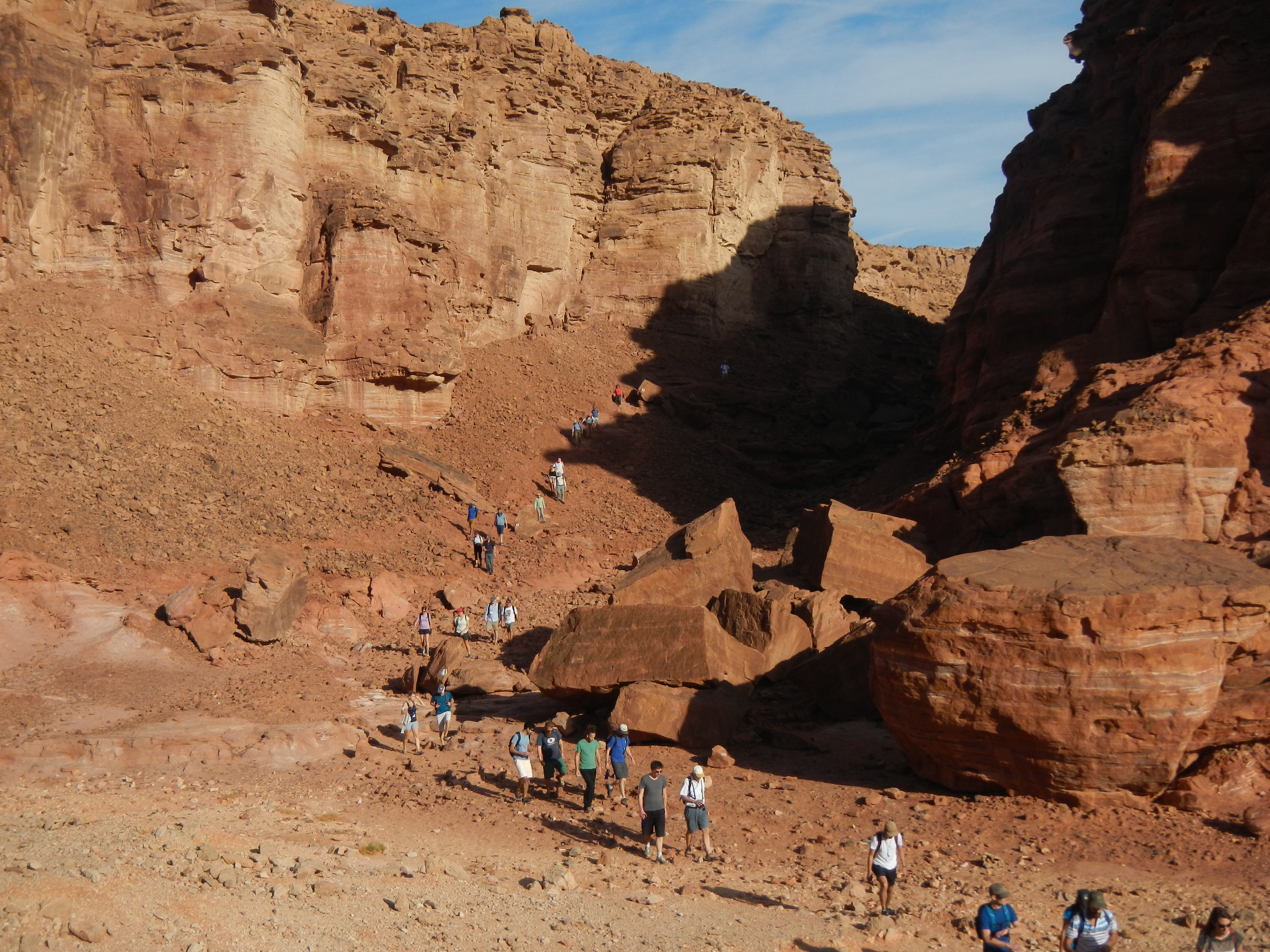 Building bridges between biologists and engineers