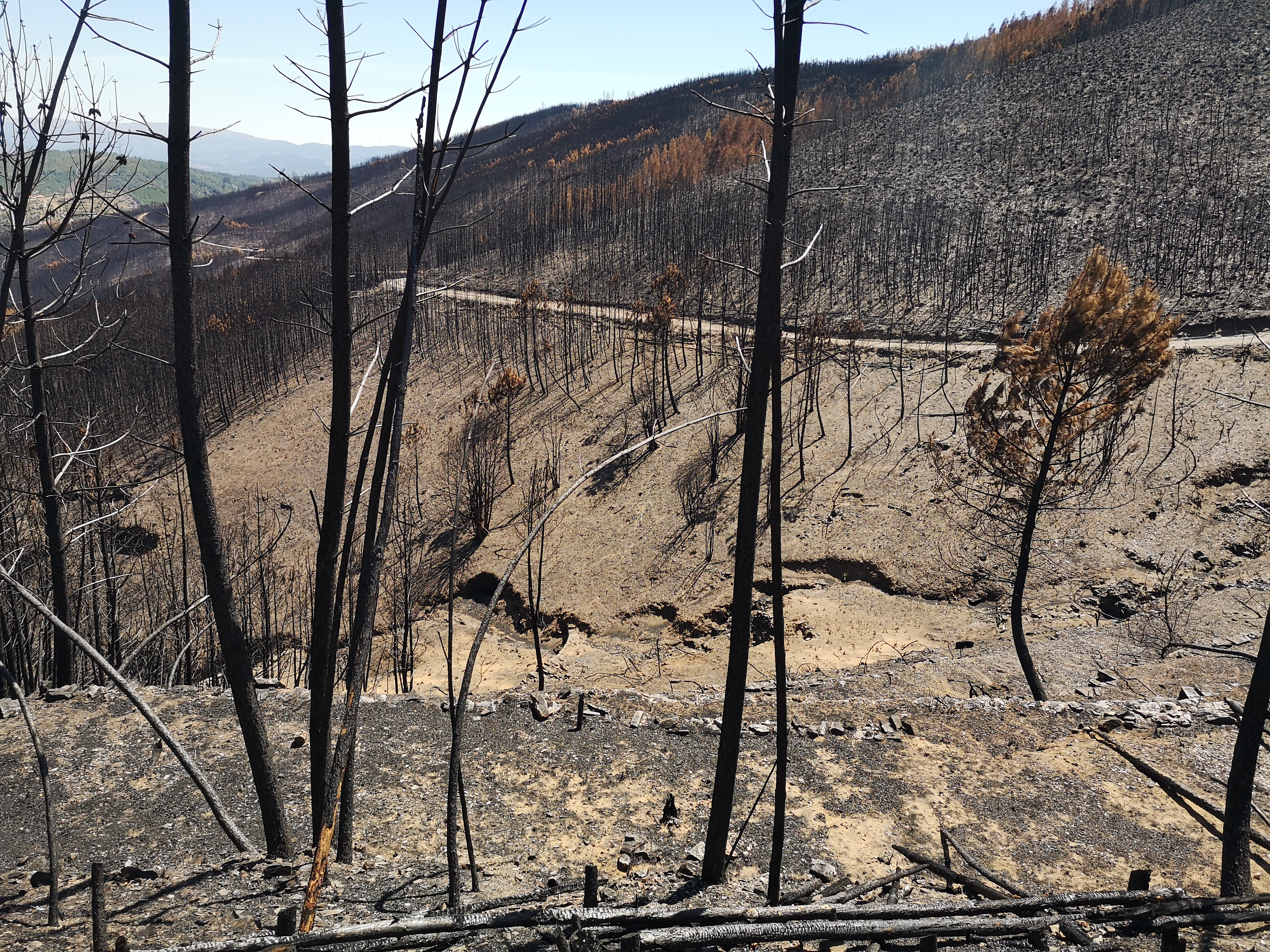 Why post-fire management matters for resilient European landscapes