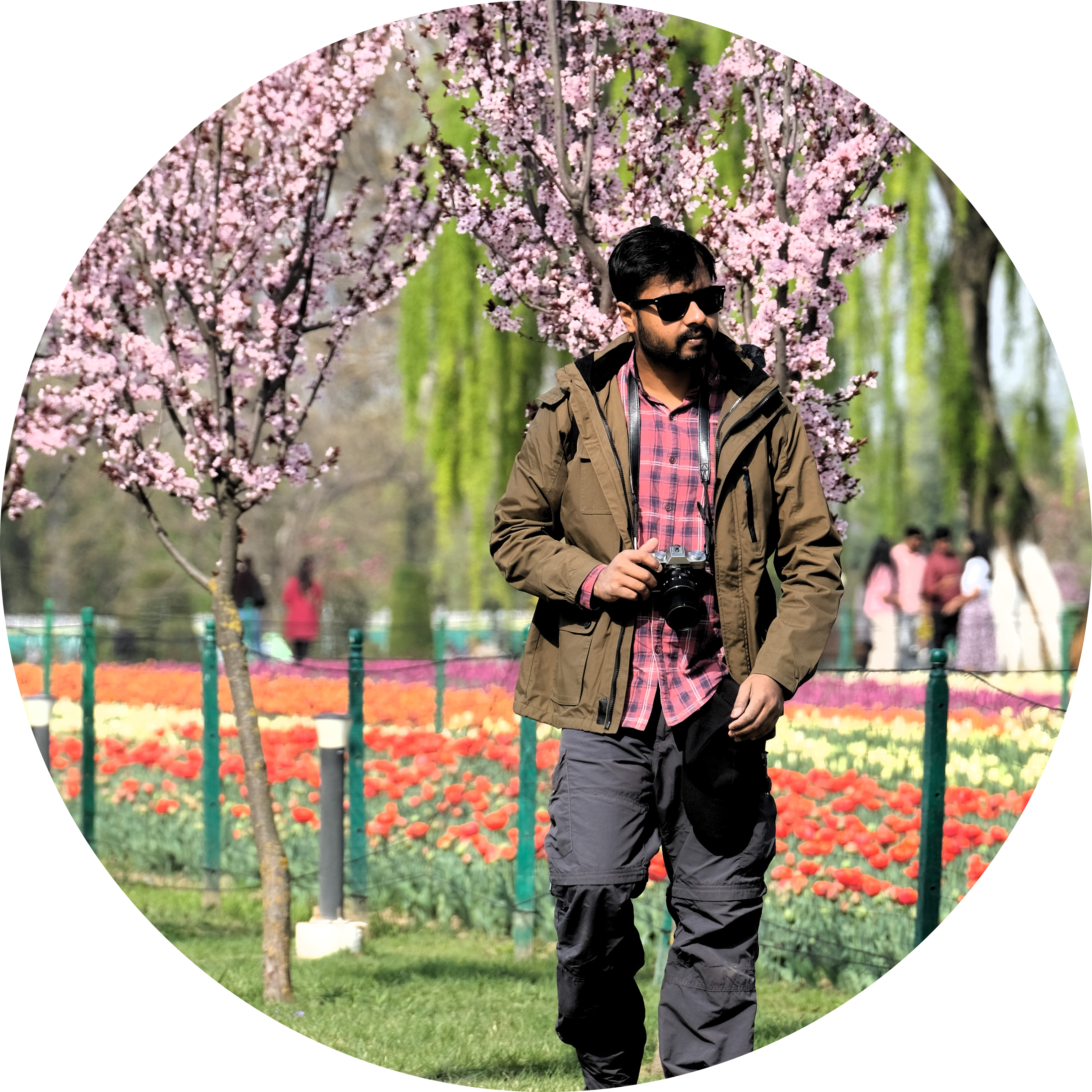 Go to the profile of Pavel Rout