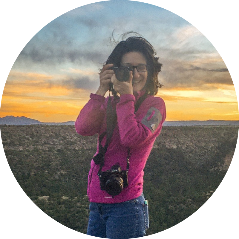 Go to the profile of Elena E. Giorgi