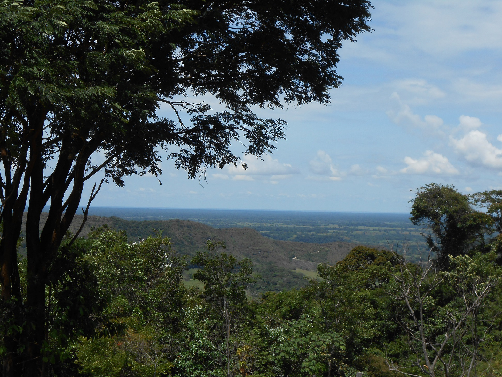Save the northern Andes–Amazon biodiversity bridge