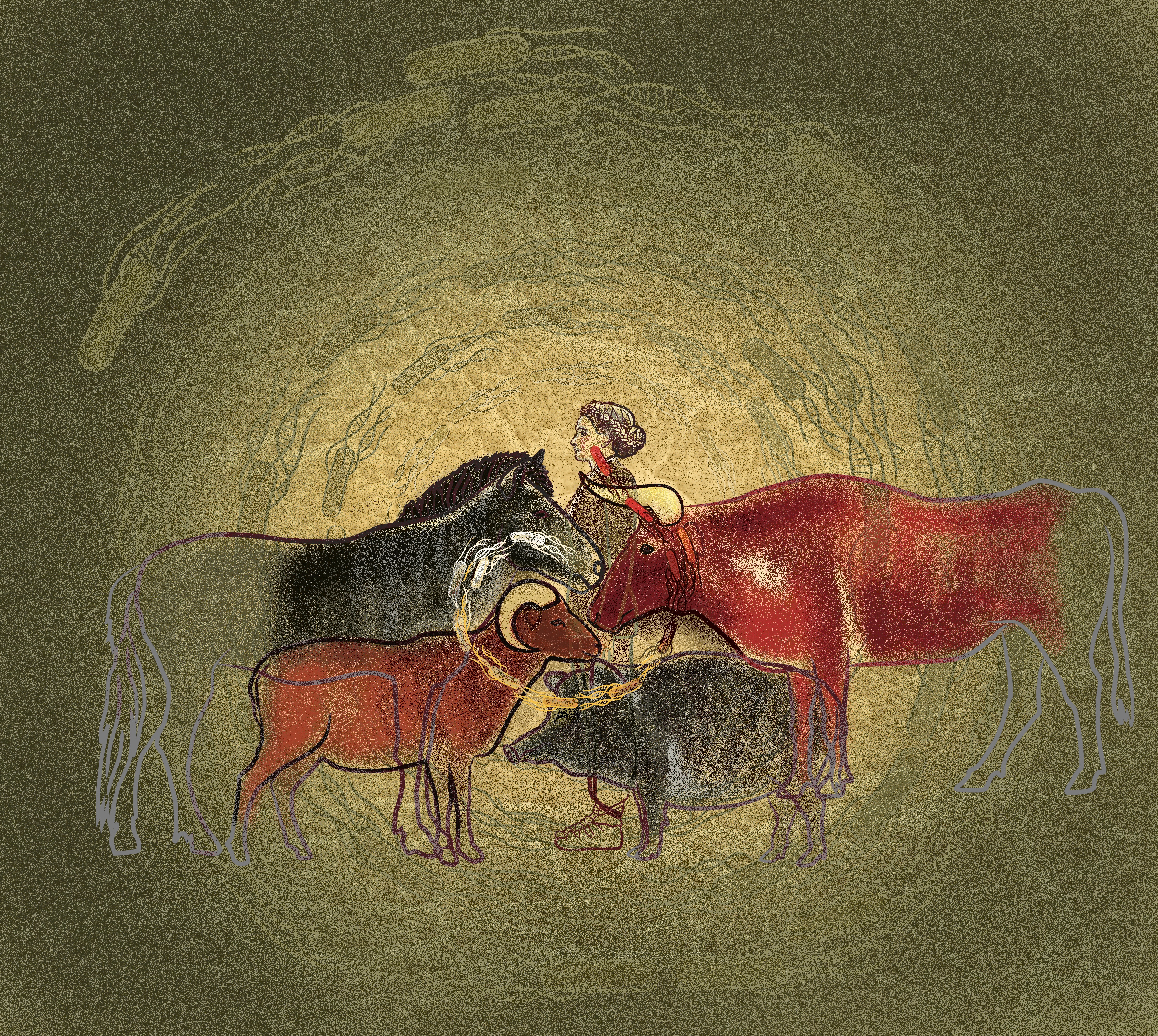 Prehistoric disease emergence
