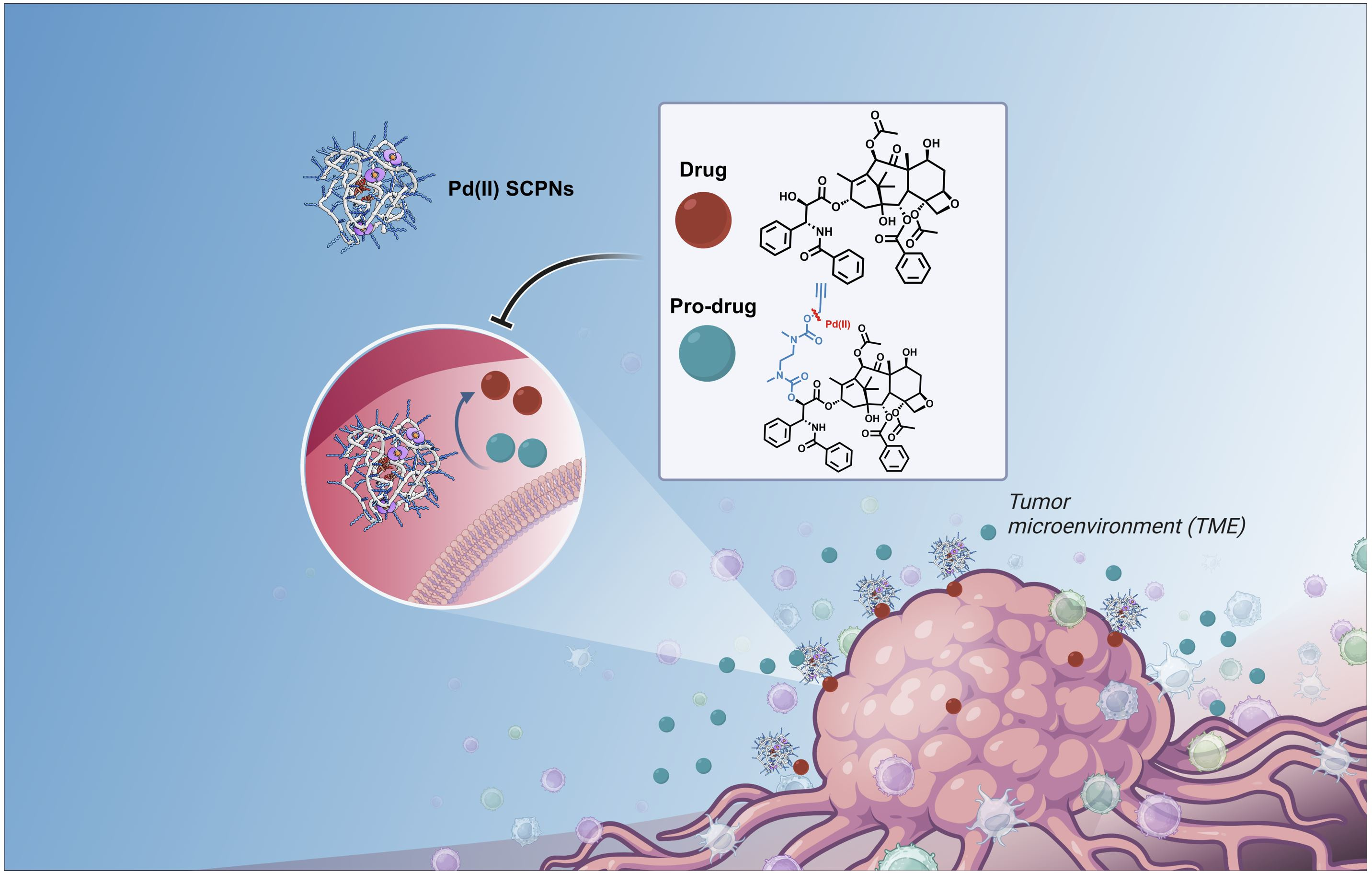Developing Pd(II) based amphiphilic polymeric nanoparticles for pro-drug activation in complex media
