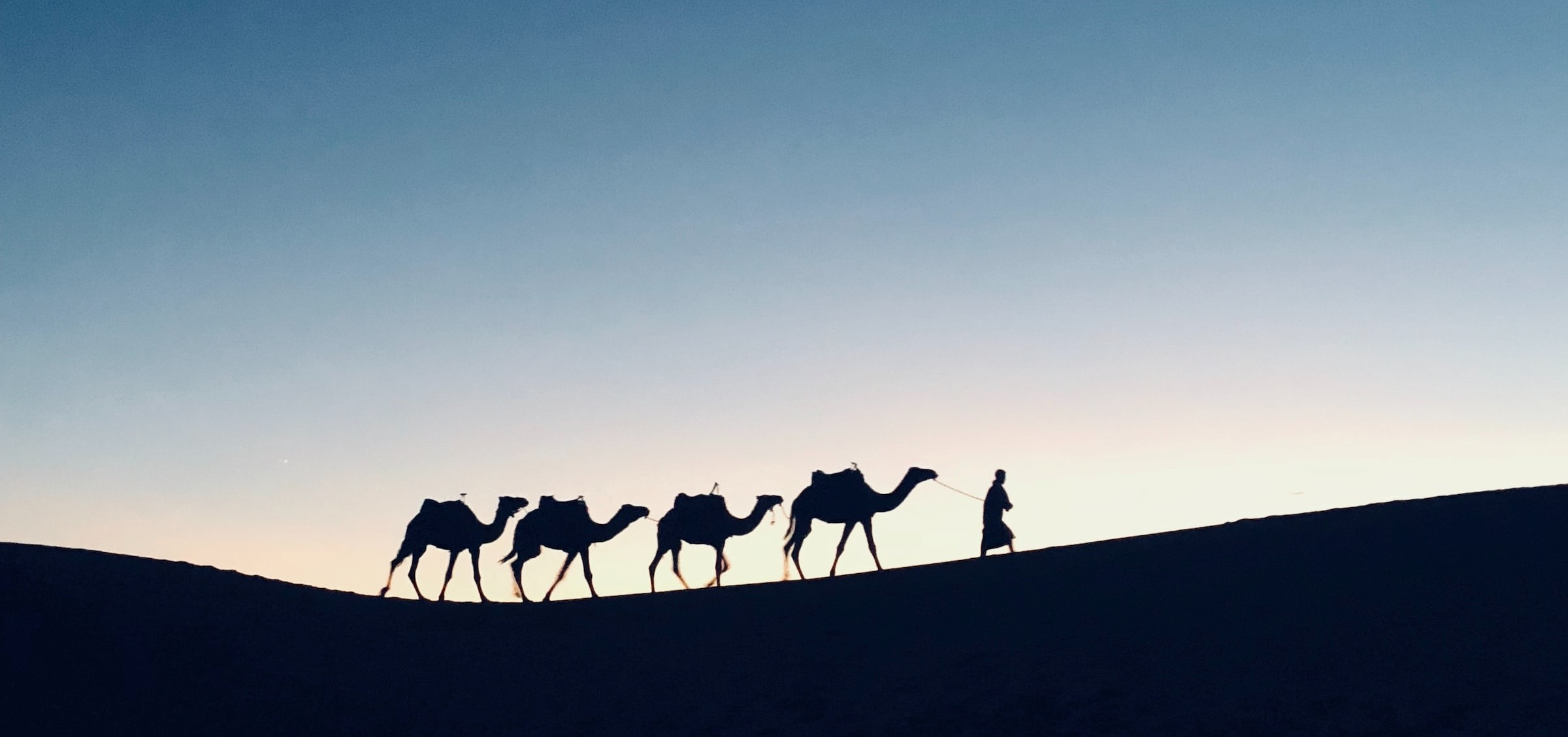 Transcriptomic plasticity of the hypothalamic osmoregulatory control centre of the Arabian dromedary camel (Camelus dromedarius)