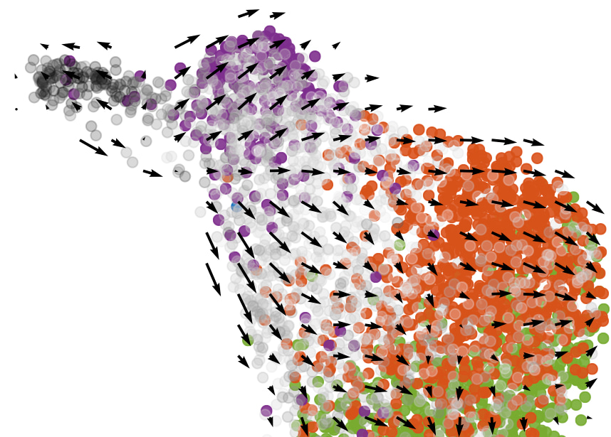 Cancer: finding order in chaos