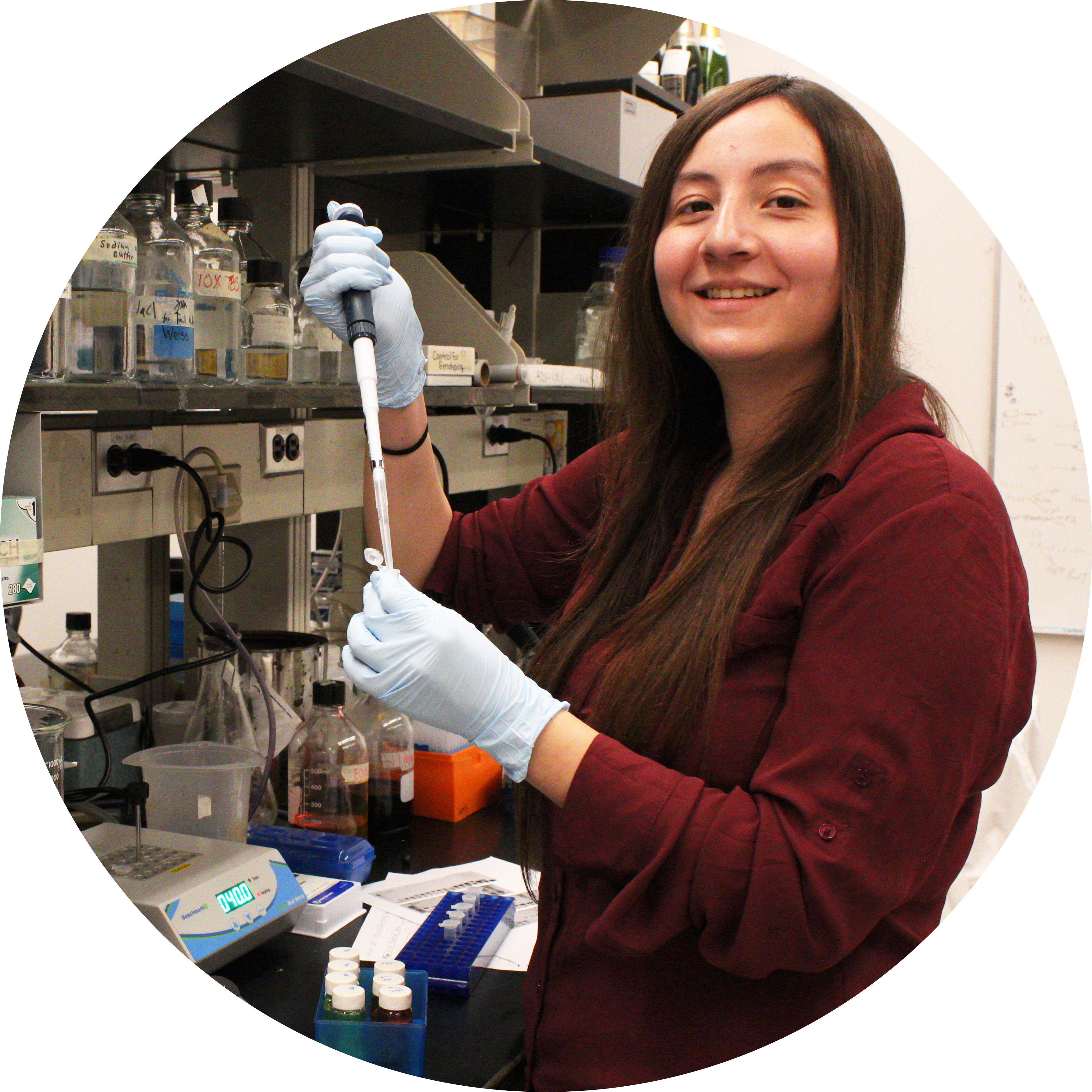 Go to the profile of Irma Fernandez