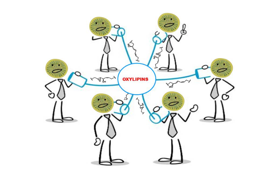 People behind data