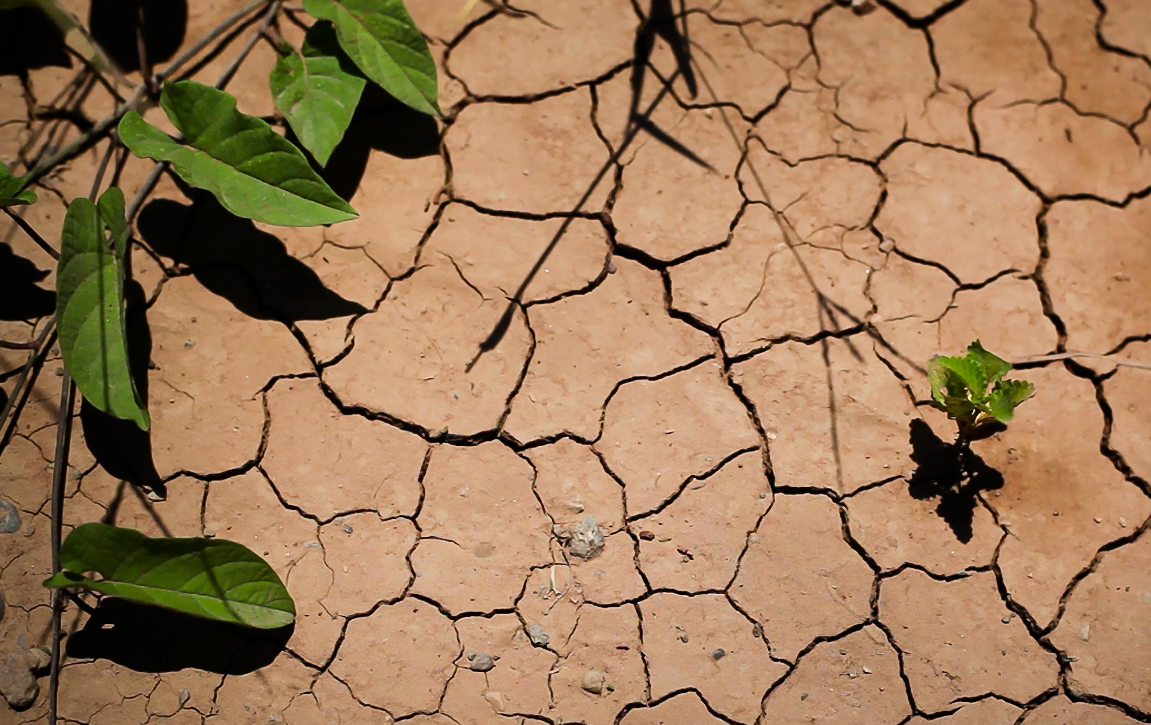 Test and Adapt: speeding up climate change adaptation is a tall order