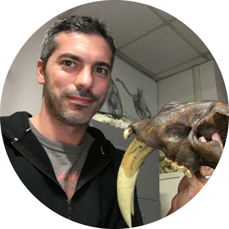 Go to the profile of Gabriele Sansalone