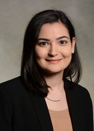 Go to the profile of Layla Barkal