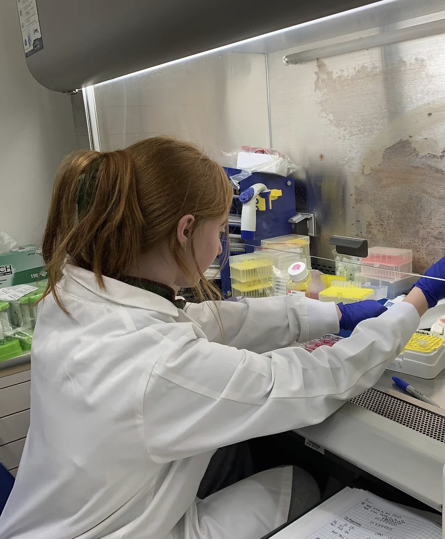 Go to the profile of Jordan Lewis