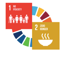 Food Insecurity in Plain Sight: Evidence from Italy's Cities and Regions