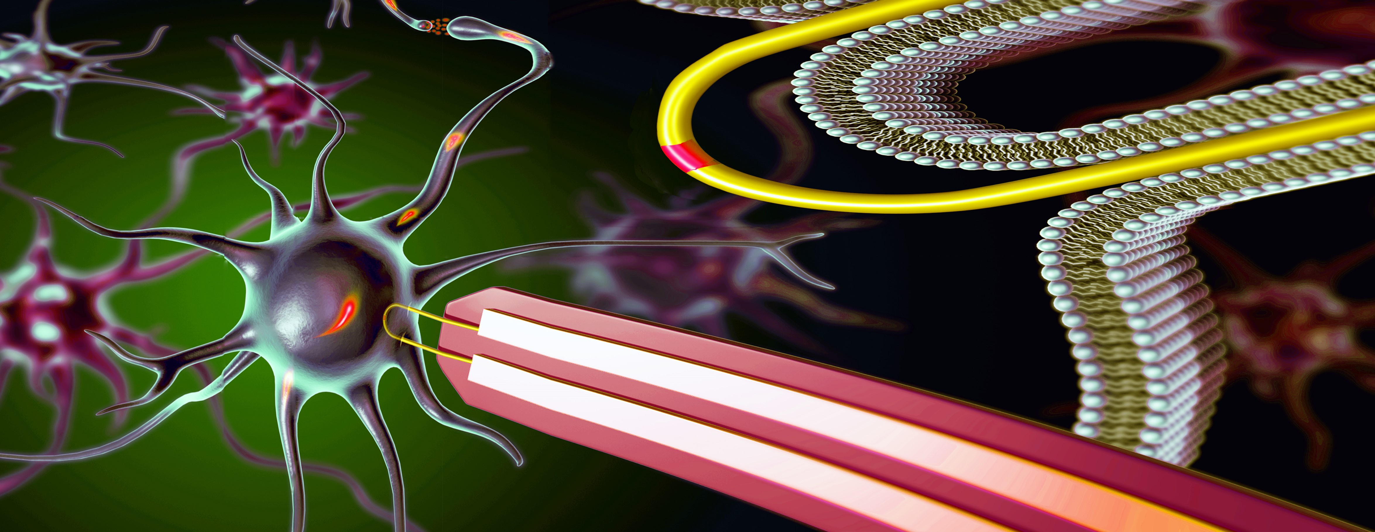 An array of ‘nano-hairpins’ probes the interior of cells