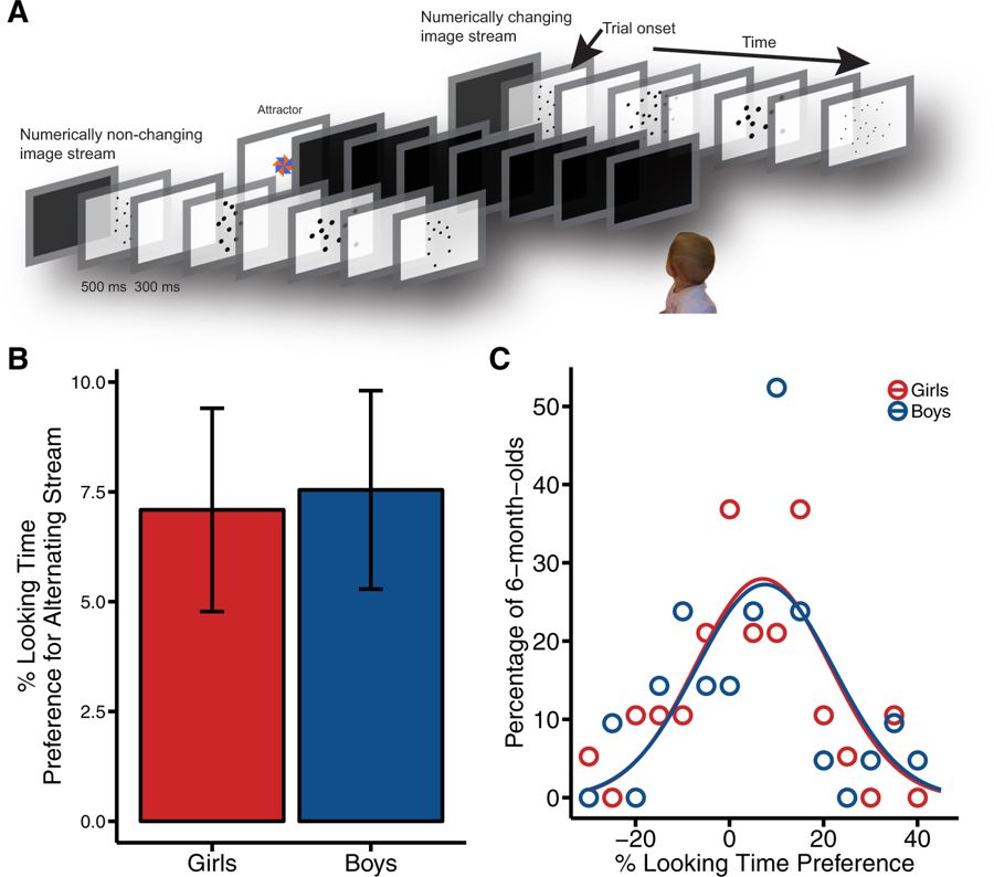 Editorial Summary—No intrinsic gender differences in children’s earliest numerical abilities