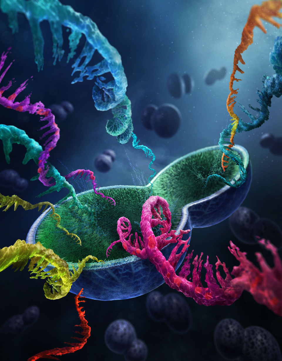 Yeast single-cell RNA-seq is finally here
