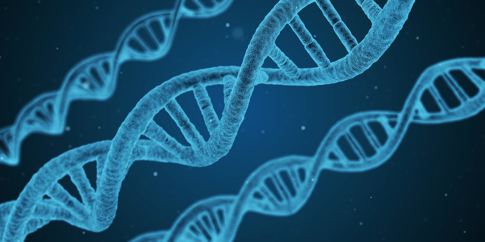 Genetics and educational attainment