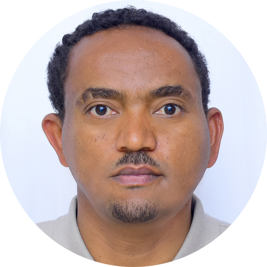 Go to the profile of Amanuel Abraha Teklu