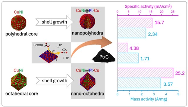 Sharper, Stronger, Smarter: CuNi@Pt-Cu Nano-Octahedra Unlock New Potential for Formic Acid Fuel Cells