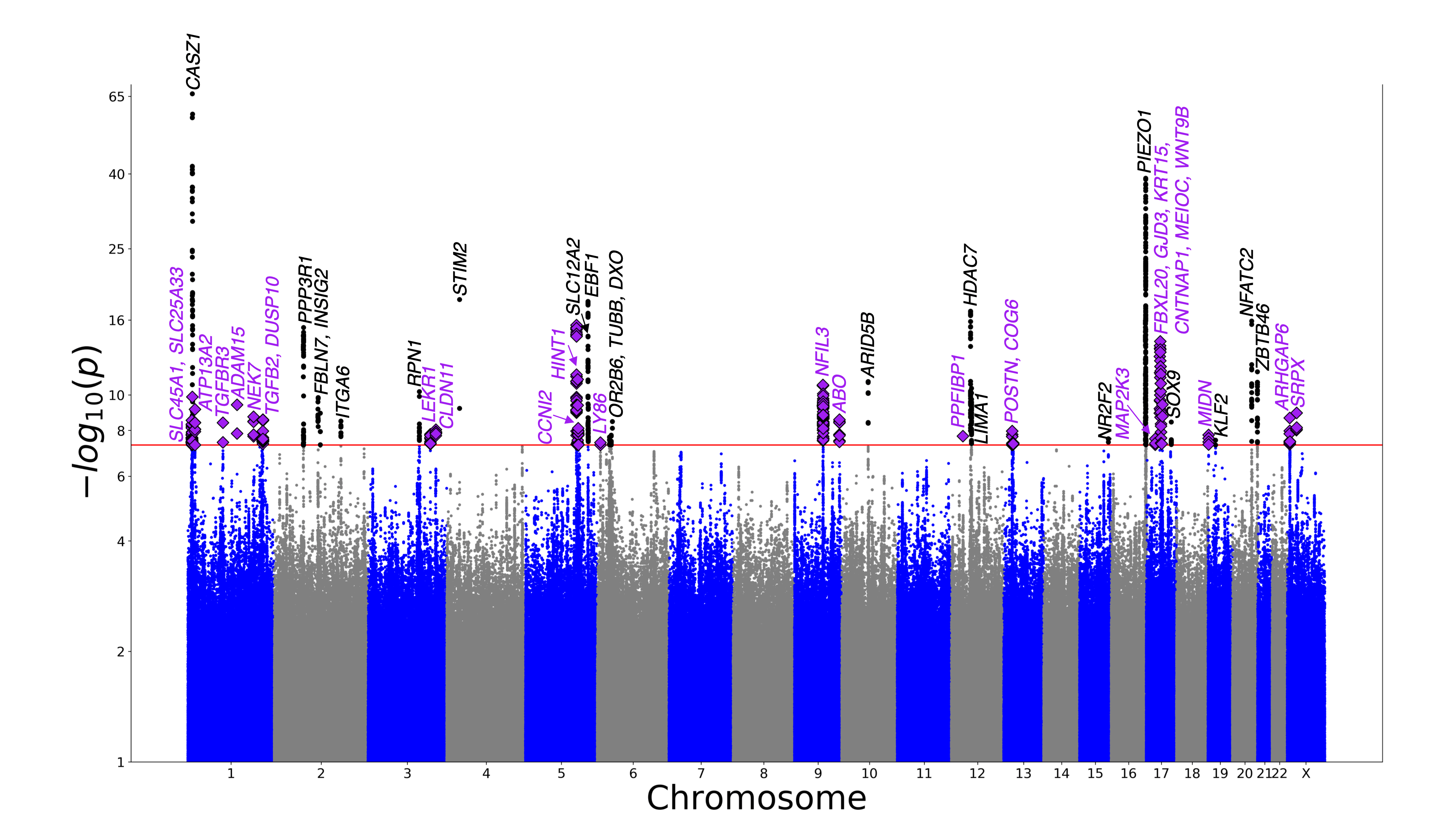 Genome-wide association study of varicose veins identifies a protective missense variant in GJD3 enriched in the Finnish population