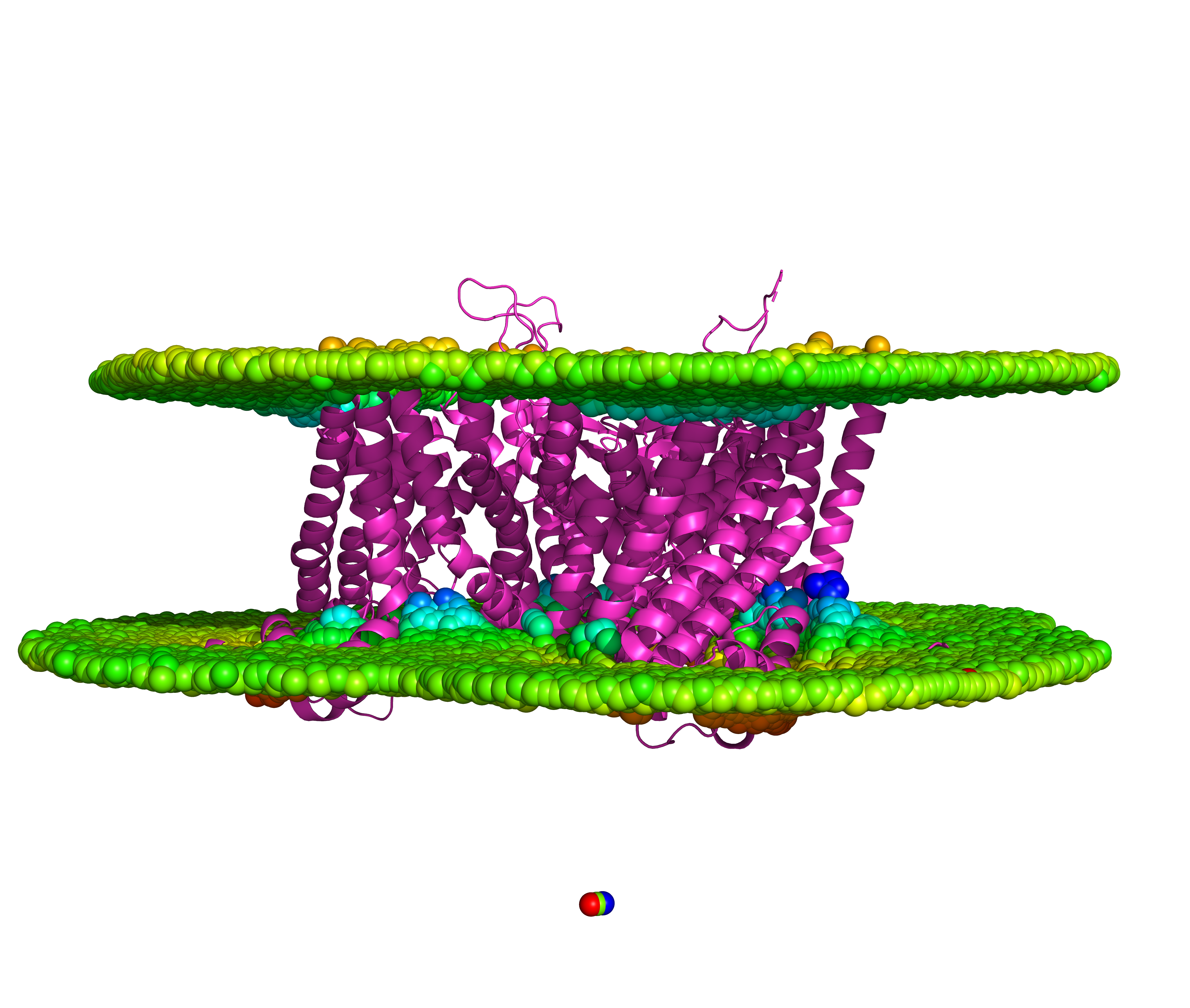 The Soluble Paradox: A Life Beneath the Surface