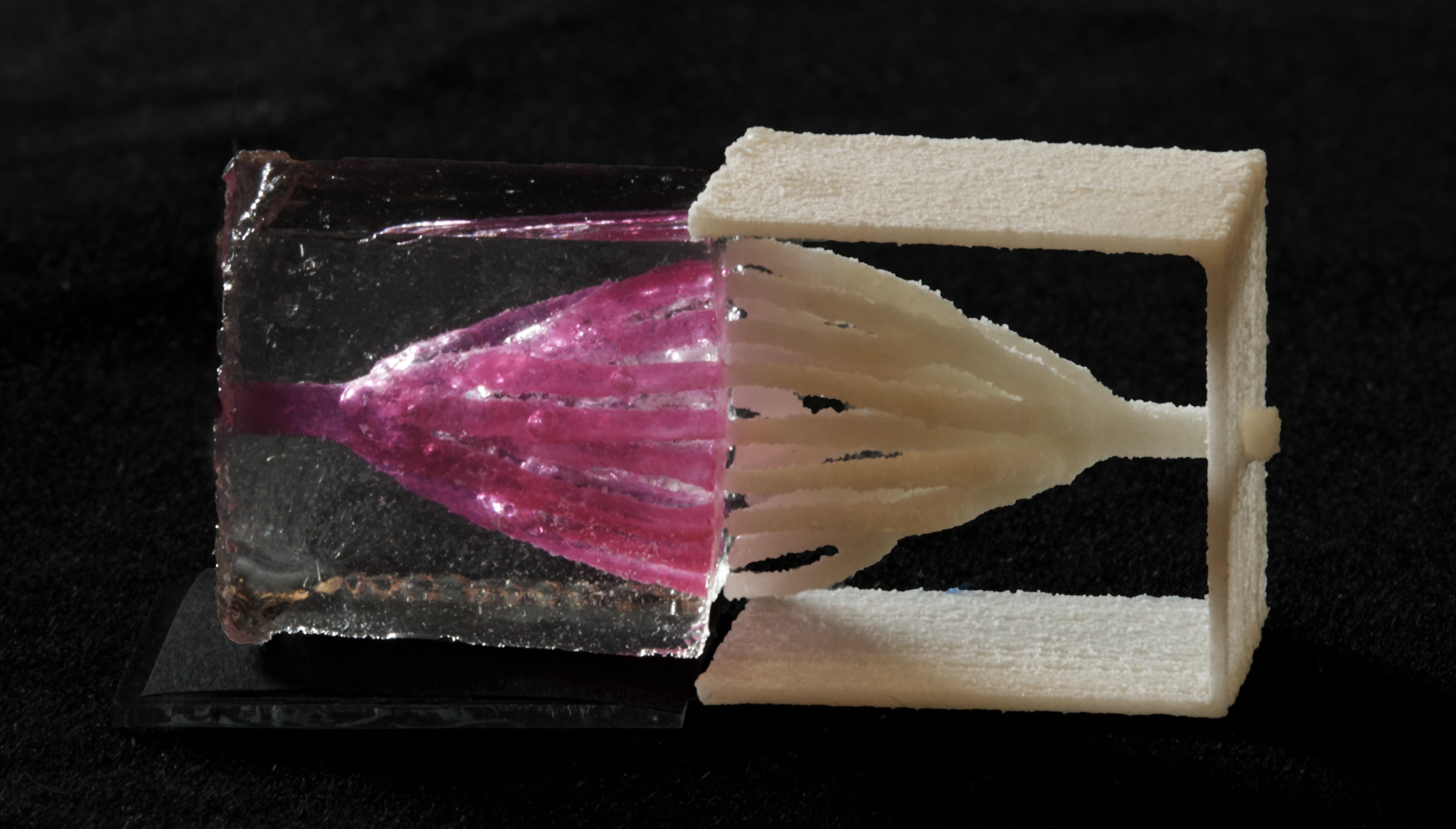 Engineering biomimetic vascular networks