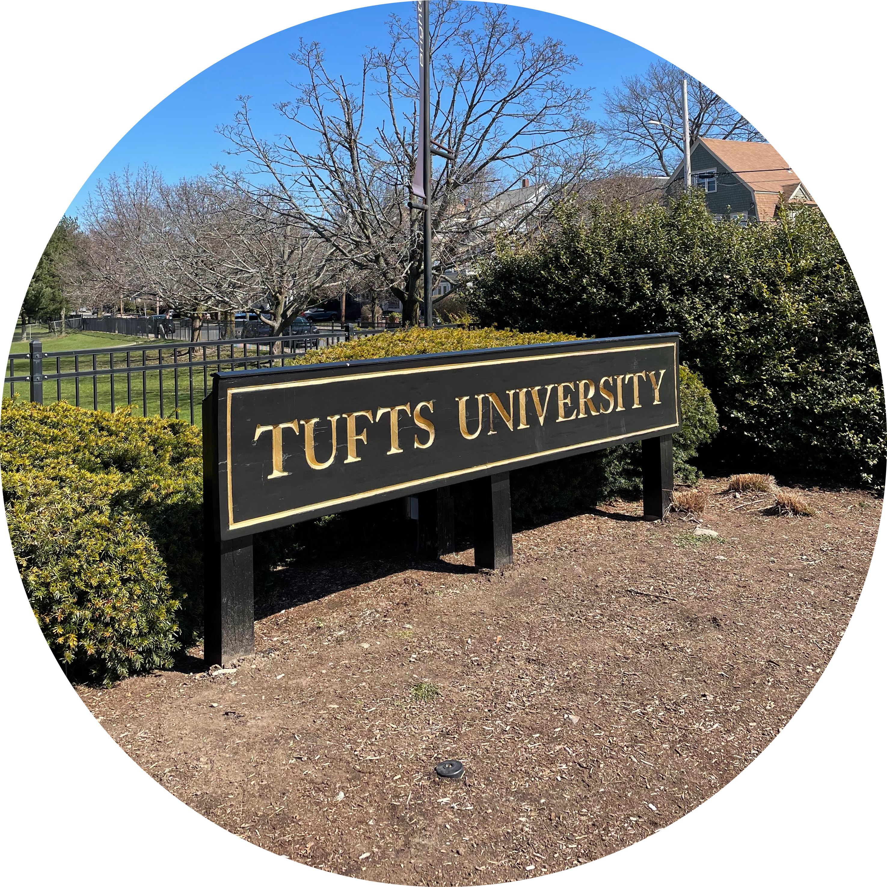 Go to the profile of Yu Zhao