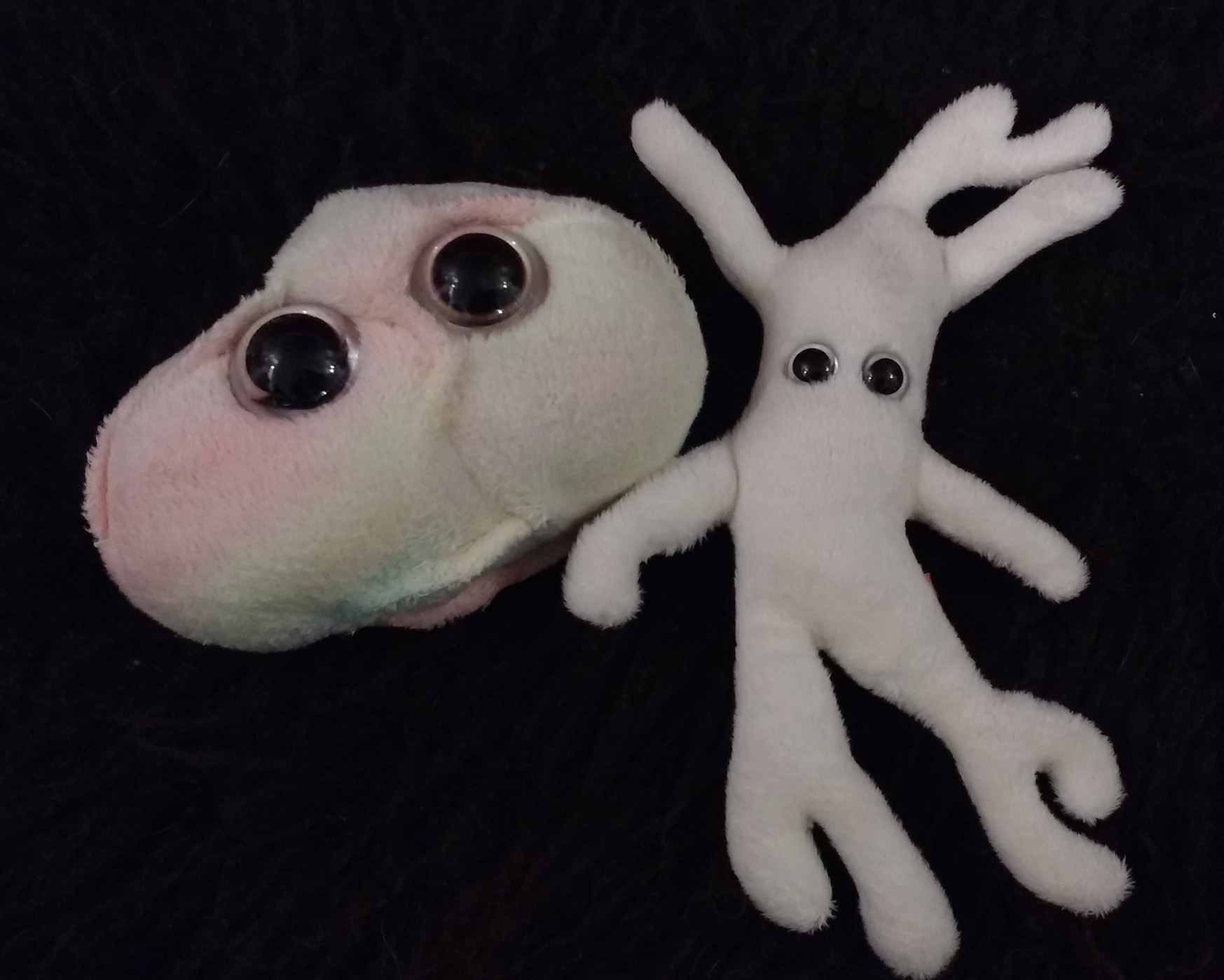 Go to the profile of Penelope M Tsimbouri