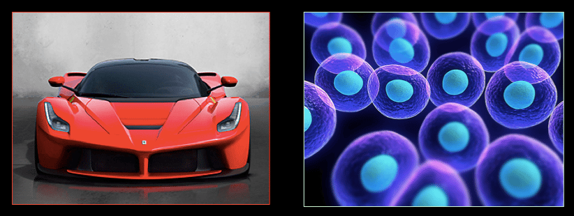How to Mend a Broken Cell:  Let Experimental Evolution Show You How