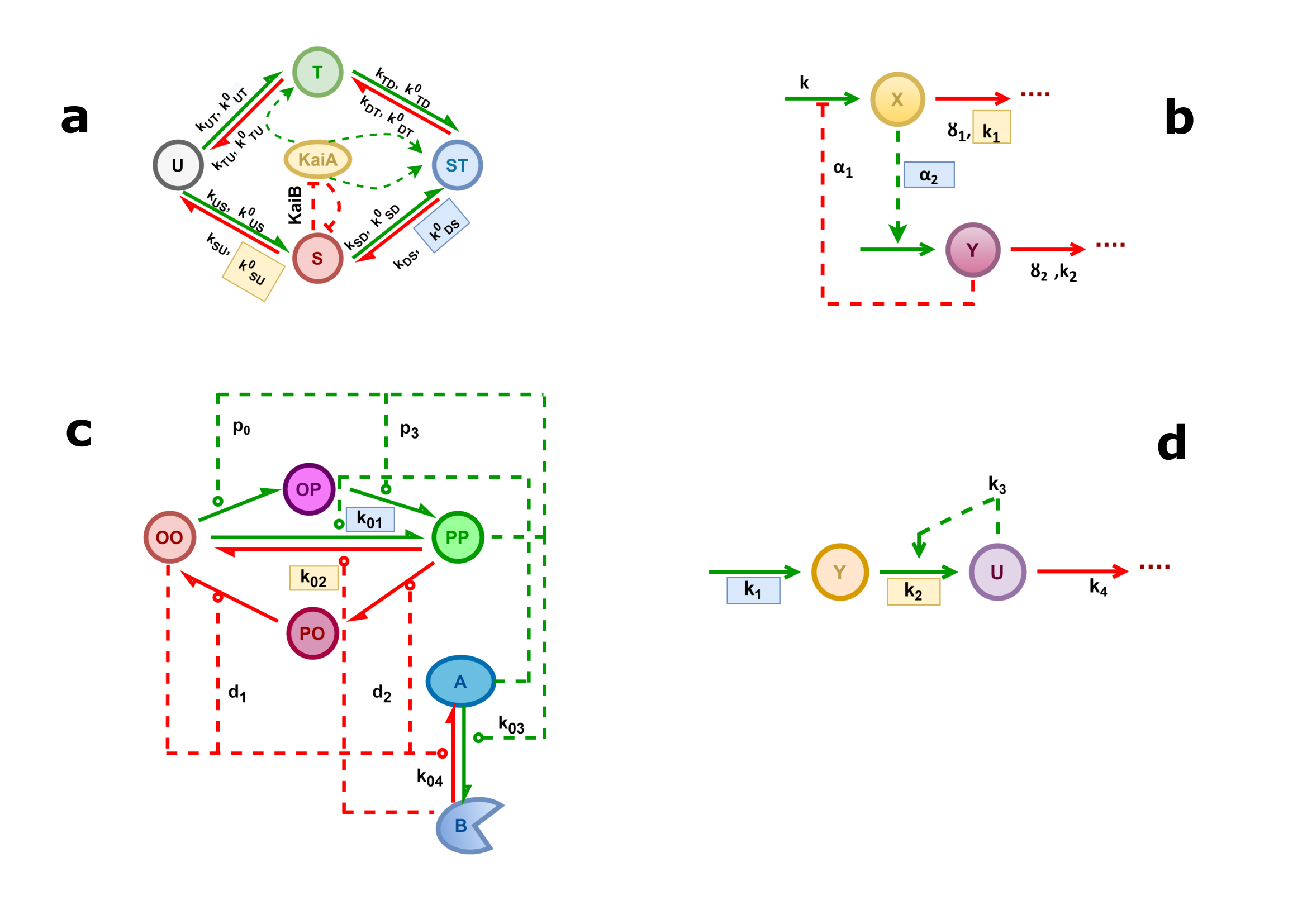 Systematic analysis of negative and positive feedback loops for robustness and temperature compensation in circadian rhythms