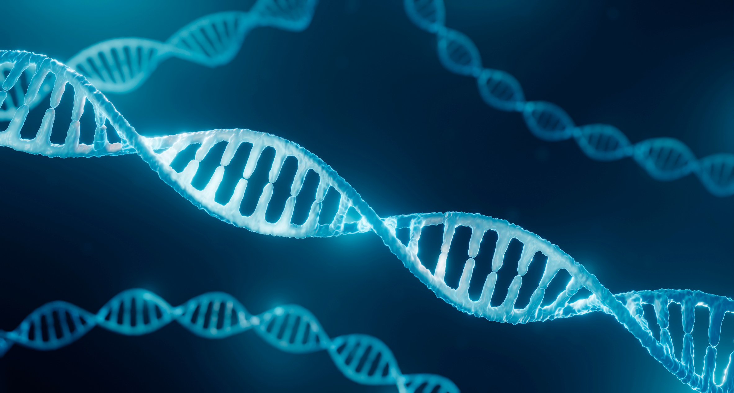 Passing It On: Exploring Transgenerational Epigenetic Inheritance
