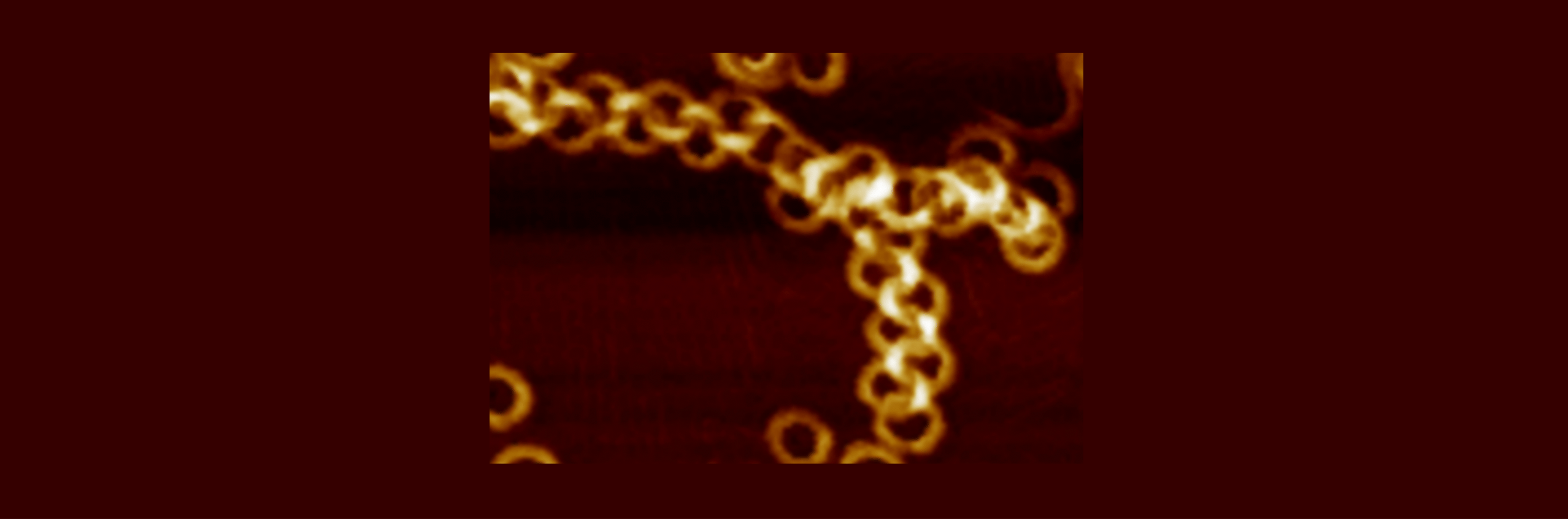 A tale of nano-poly[22]catenane