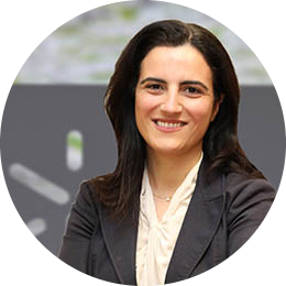 Go to the profile of Sandra Cristina Almeida Paiva