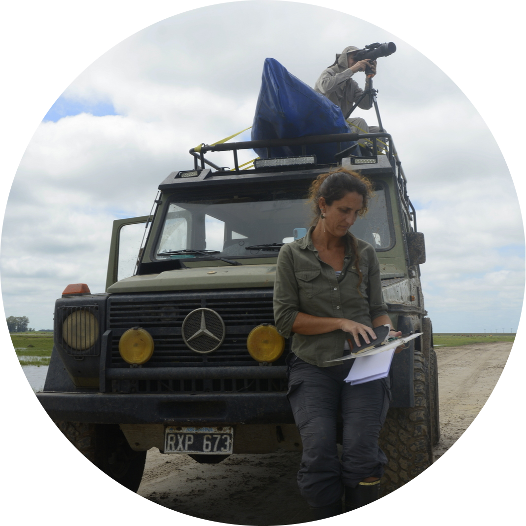 Go to the profile of Melina Devercelli