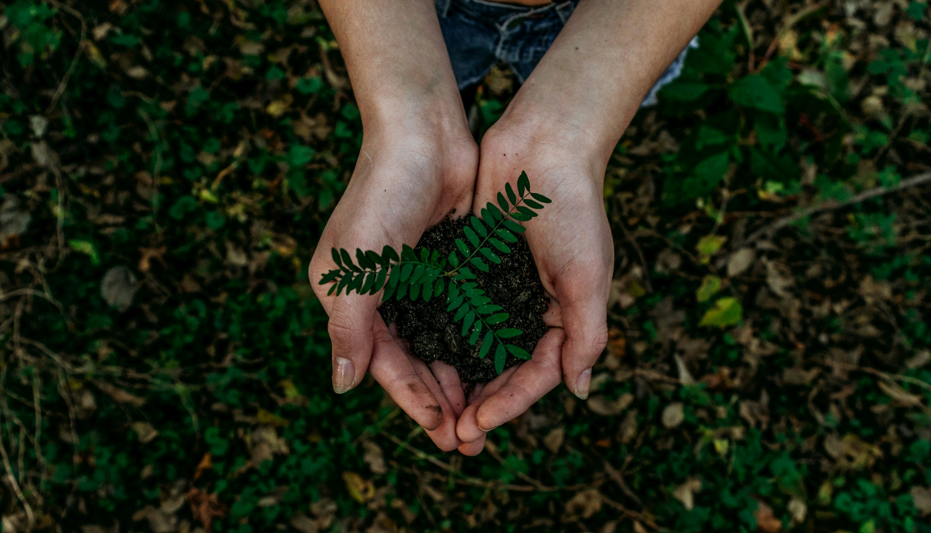 What are SDG Topics? 