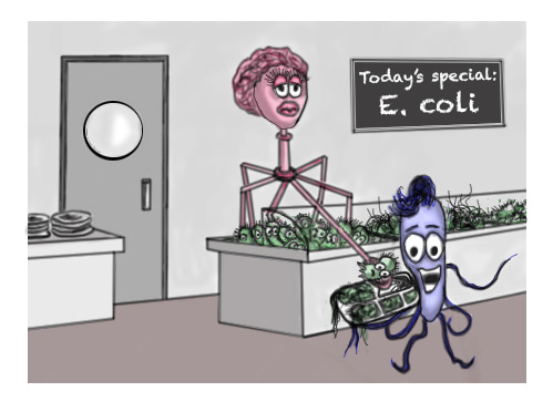 Bacteriophage: Serving up bacterial buffets
