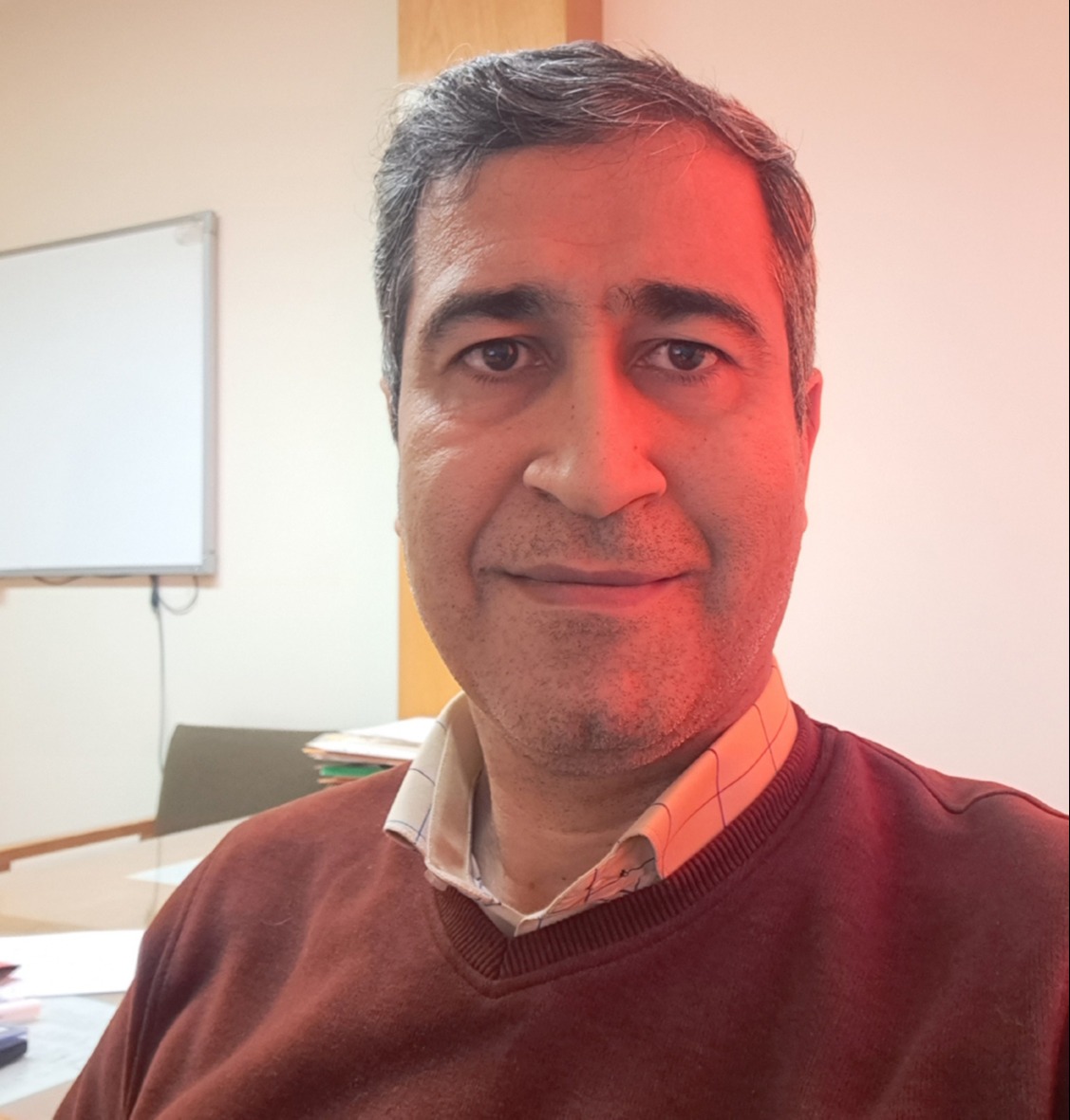 Go to the profile of Mohsen Lashgari