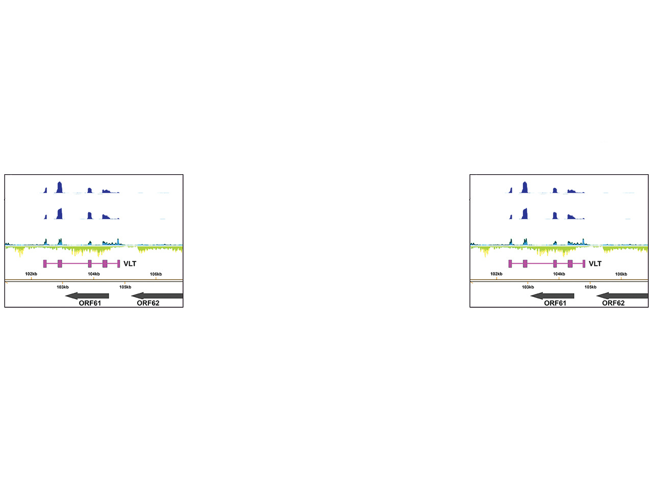 Old ideas and new technologies decode viral latency