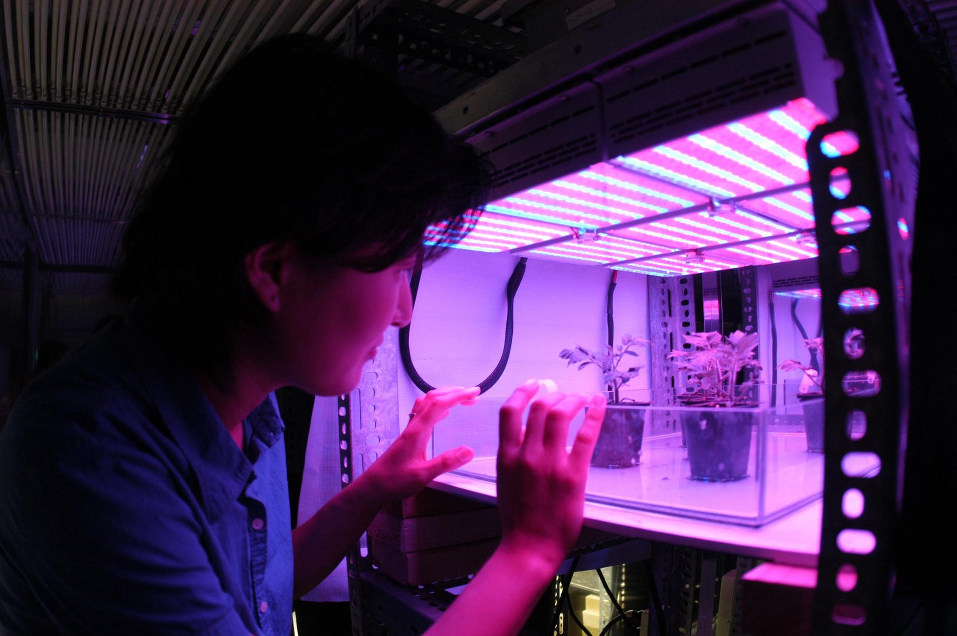 Testing the feasibility of microbe-based life support