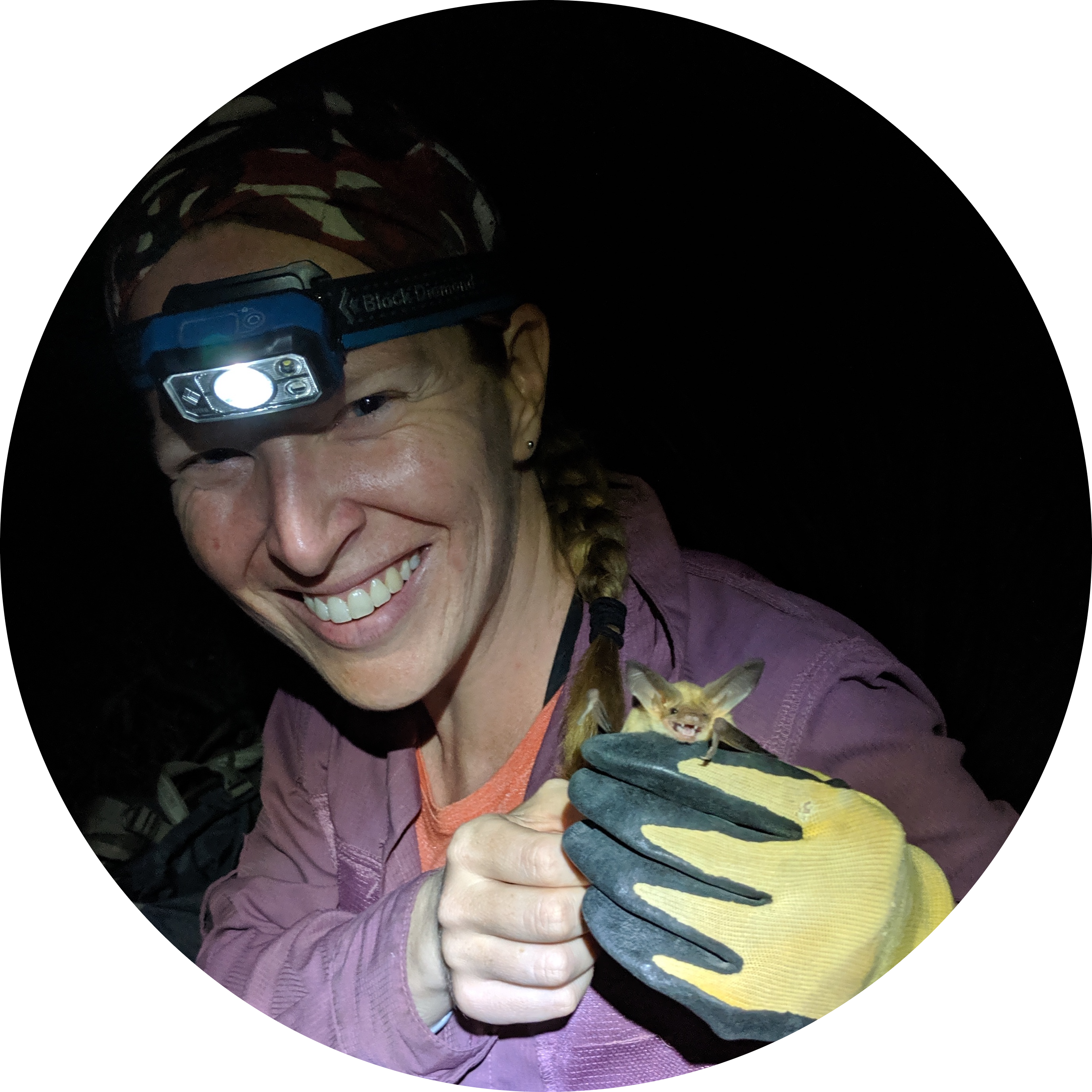 Go to the profile of Theresa M. Laverty