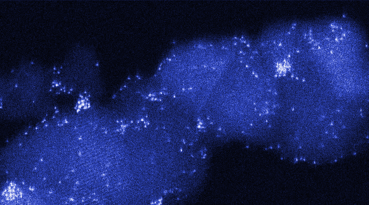 Fully exposed Pd clusters enable fast hydrogen recovery