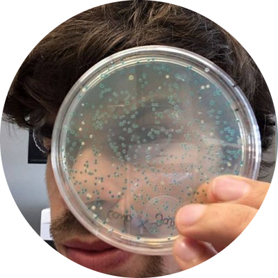 Go to the profile of Dimitrije Ivancic