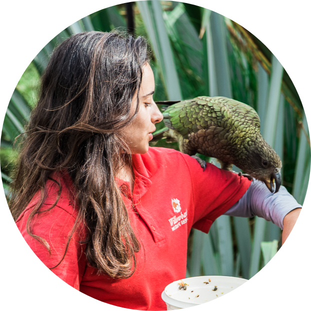 Go to the profile of Amalia Bastos