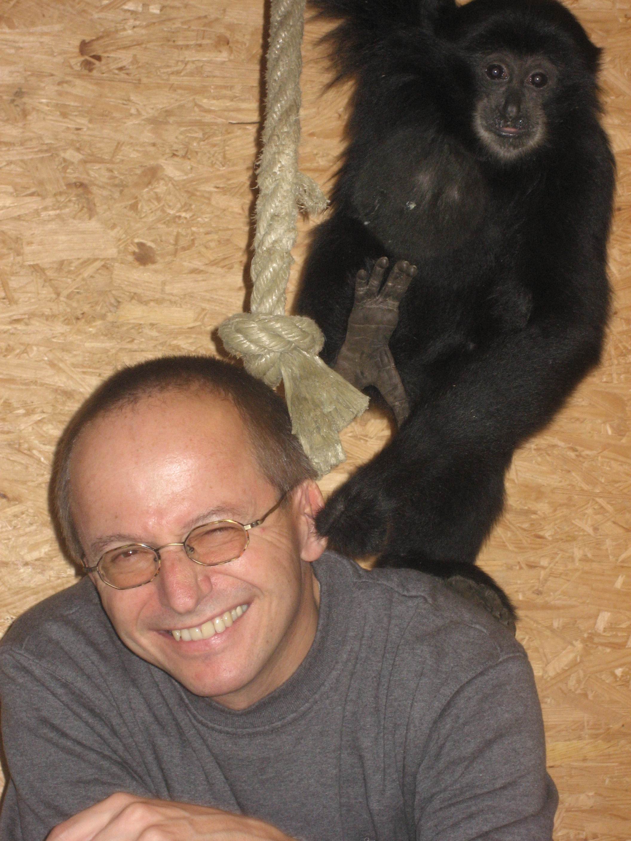 Go to the profile of Adolf Heschl