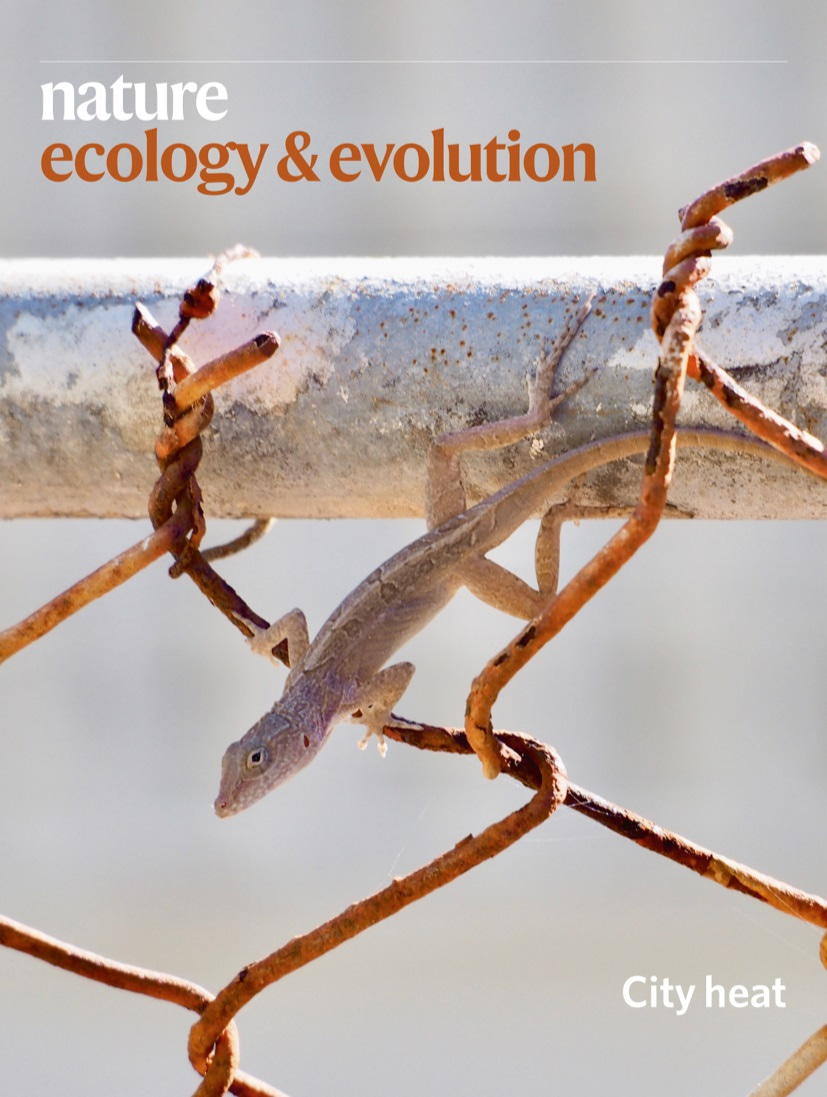 Gallery | April 2020 cover