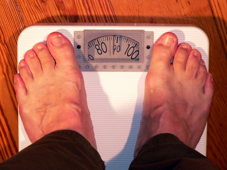 Obesity and the microbiome - why visceral fat matters