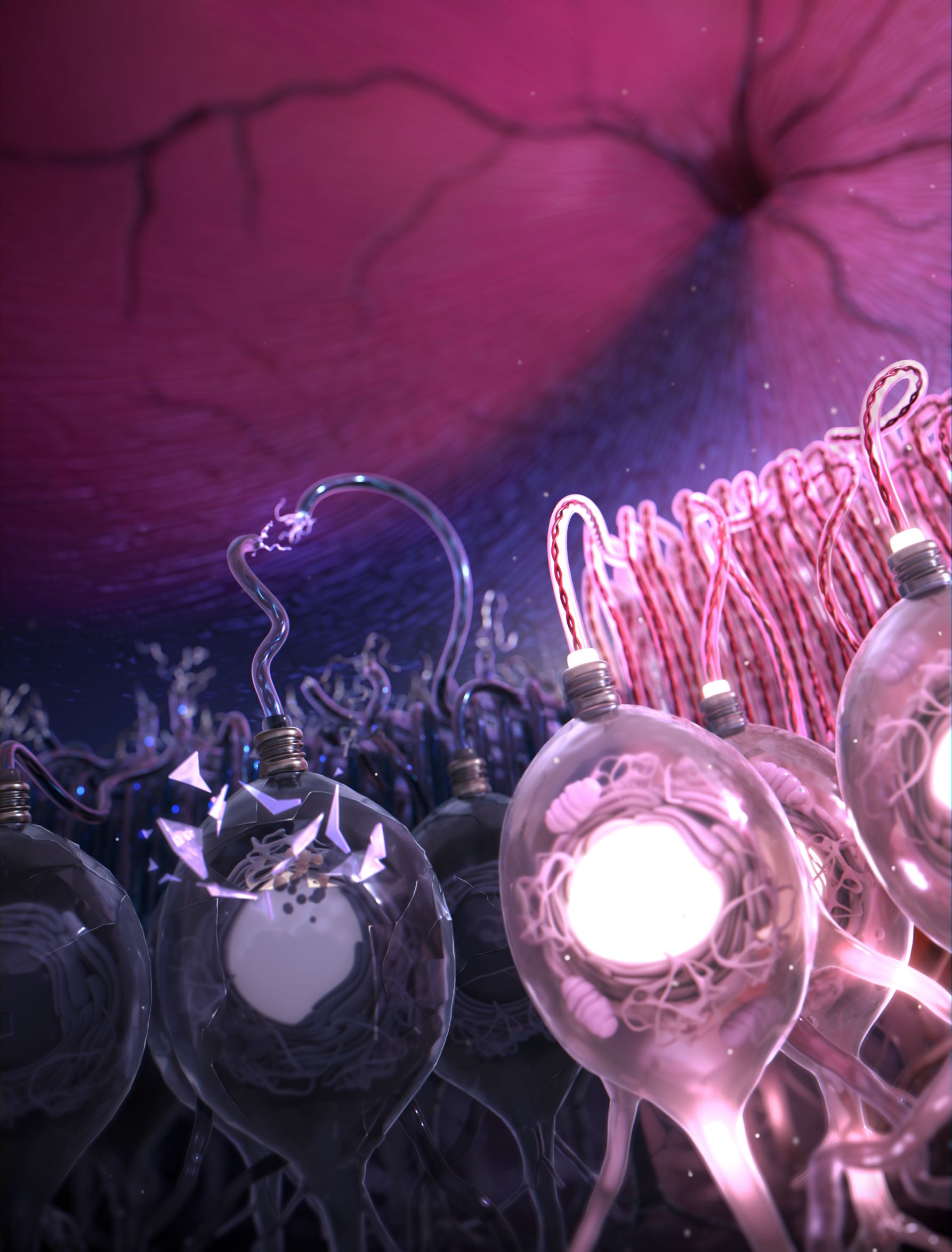 Uncovering the trajectories of axonal fiber bundles to augment the diagnostic precision to detect retinal nerve fiber layer defects in glaucoma