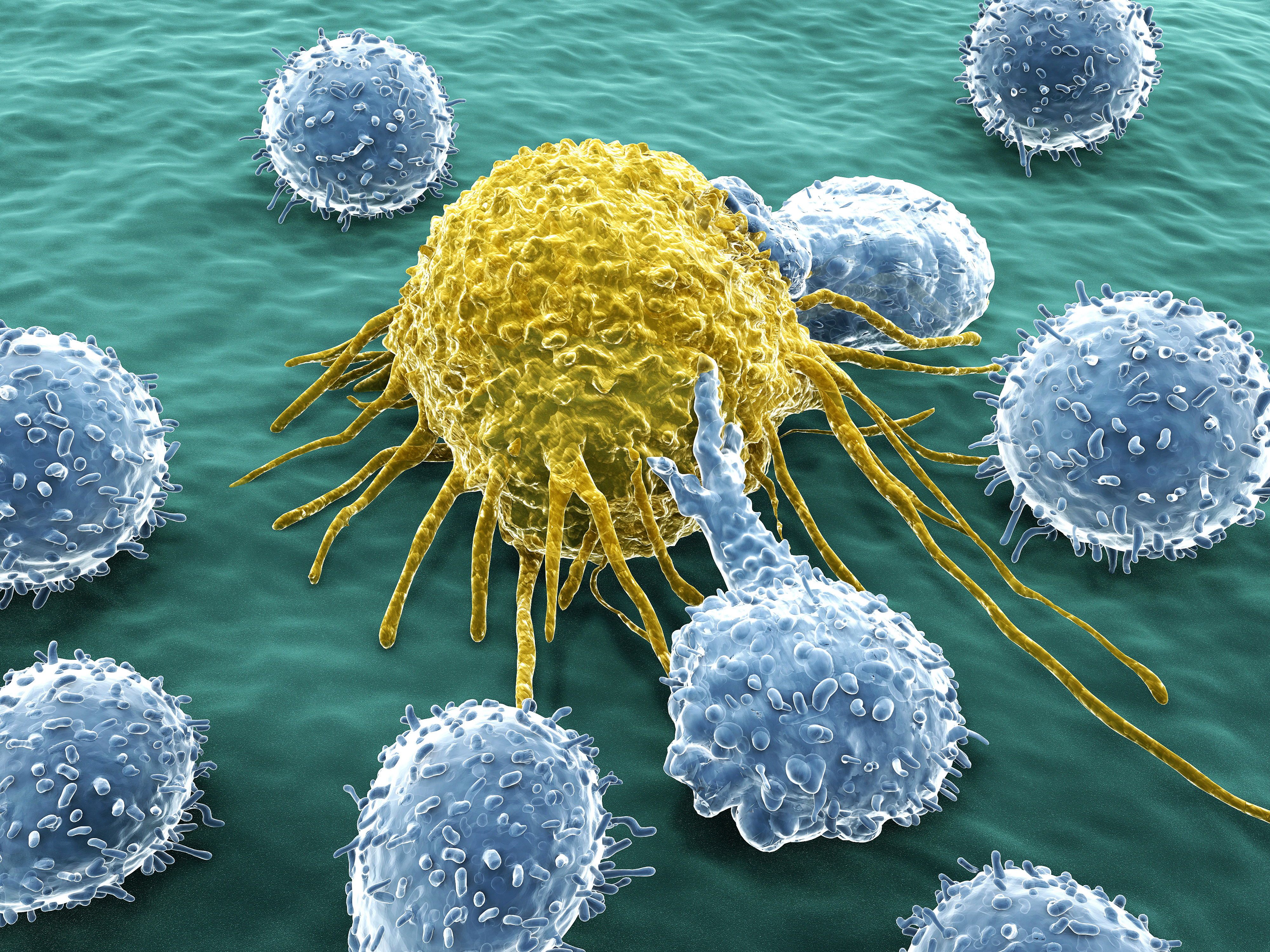 A work permit for therapeutic stem cells