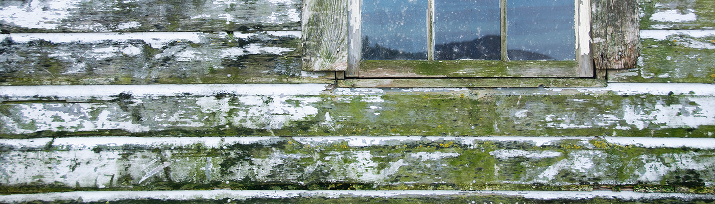Call for papers: Microbes in the built environment