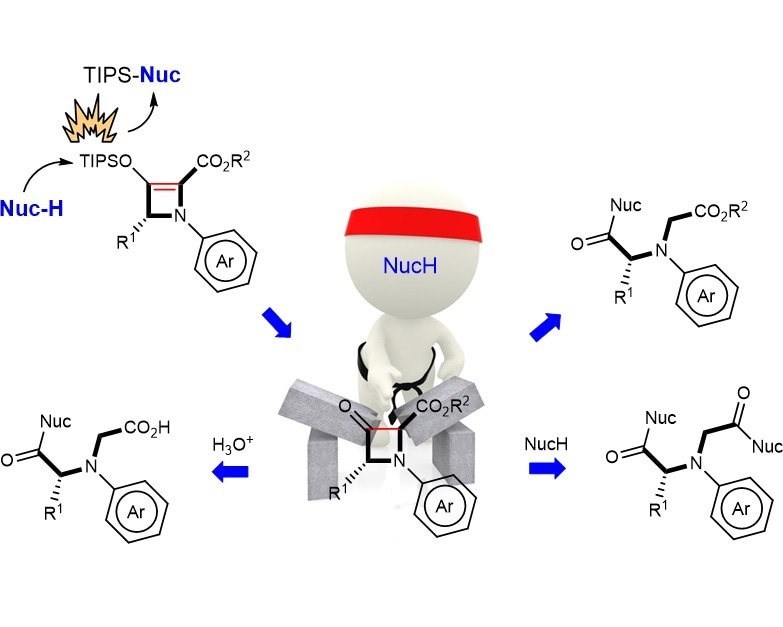 Functionalization of nucleophiles with chiral azetines